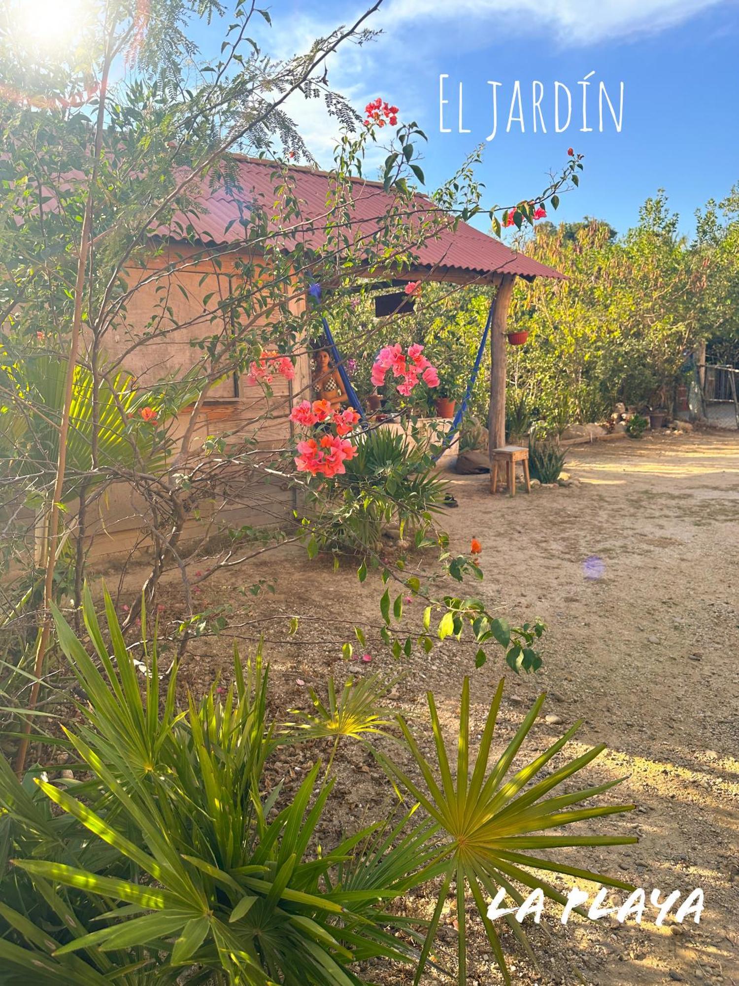 Hotel La Playa Mazunte Zewnętrze zdjęcie