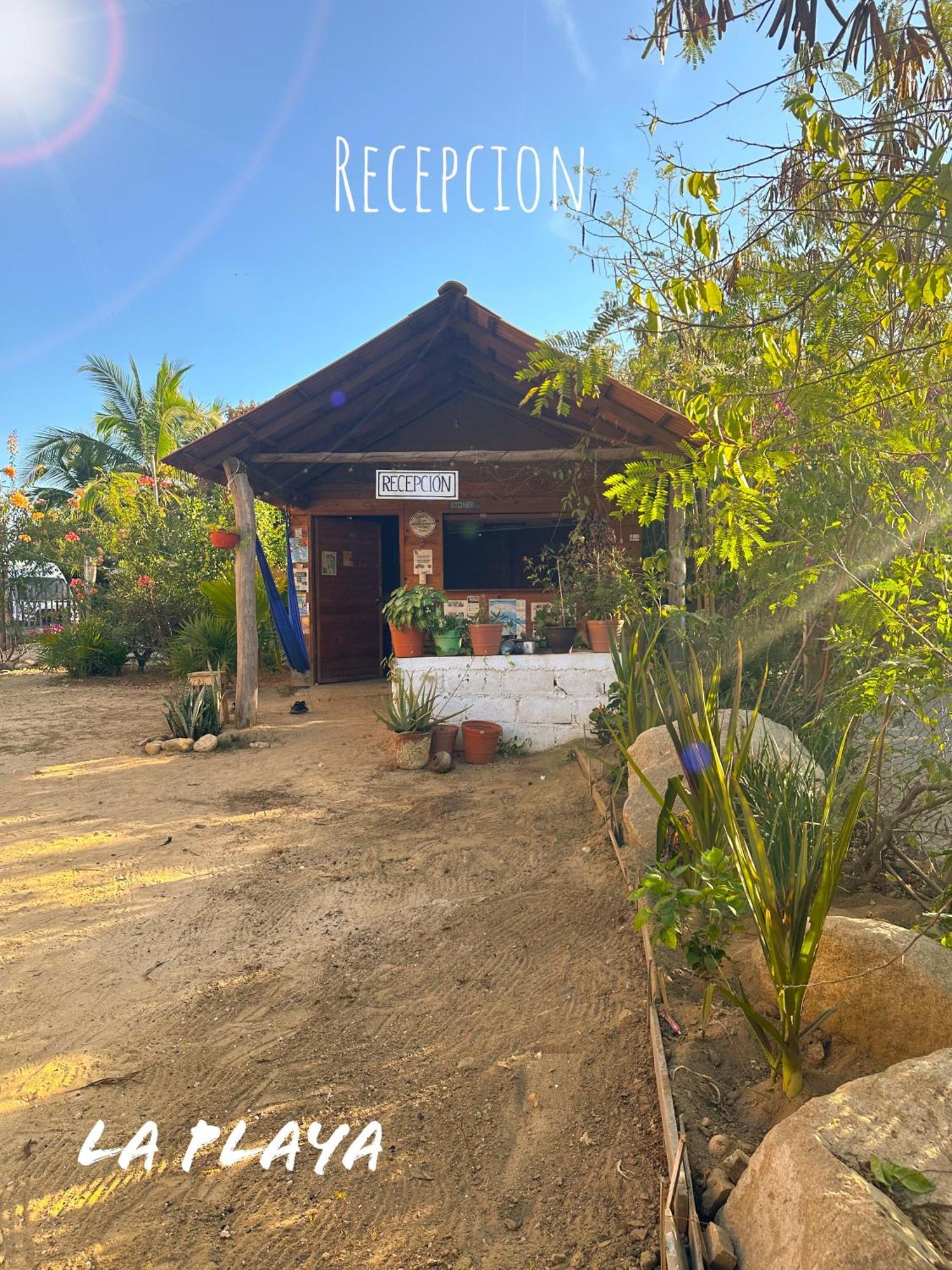 Hotel La Playa Mazunte Zewnętrze zdjęcie