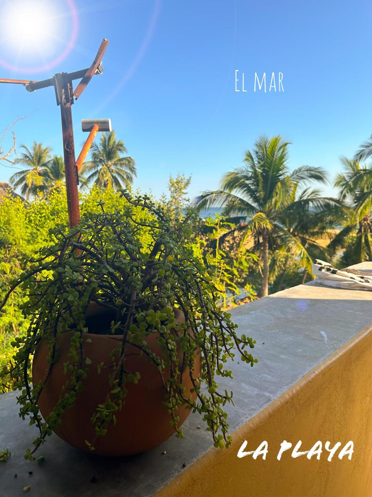 Hotel La Playa Mazunte Zewnętrze zdjęcie